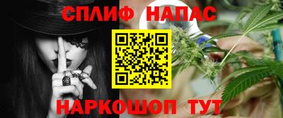 сатива Краснодар