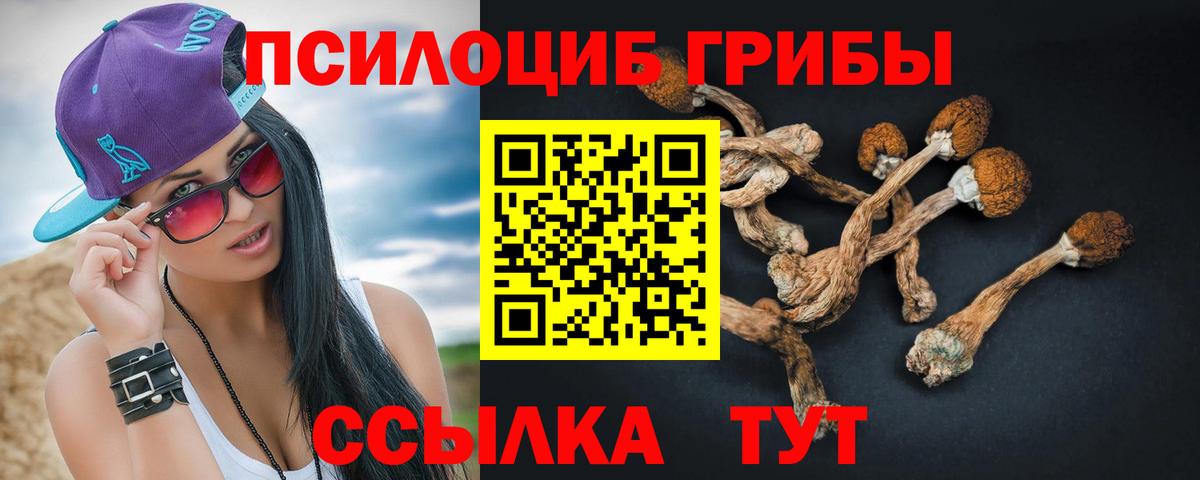 Галлюциногенные грибы Cubensis Иваново